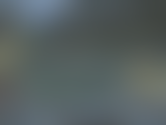 Designing a Moon Garden               Zone 8 Georgia