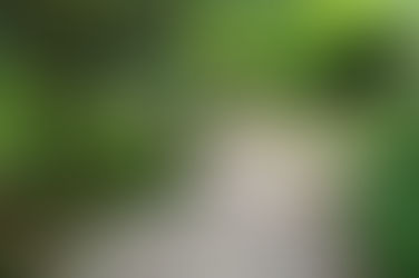 Beauty and Function: