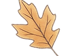 fall leaf_edited_edited.png