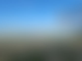 "Hope is the thing with feathers"