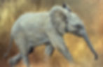 On the Move