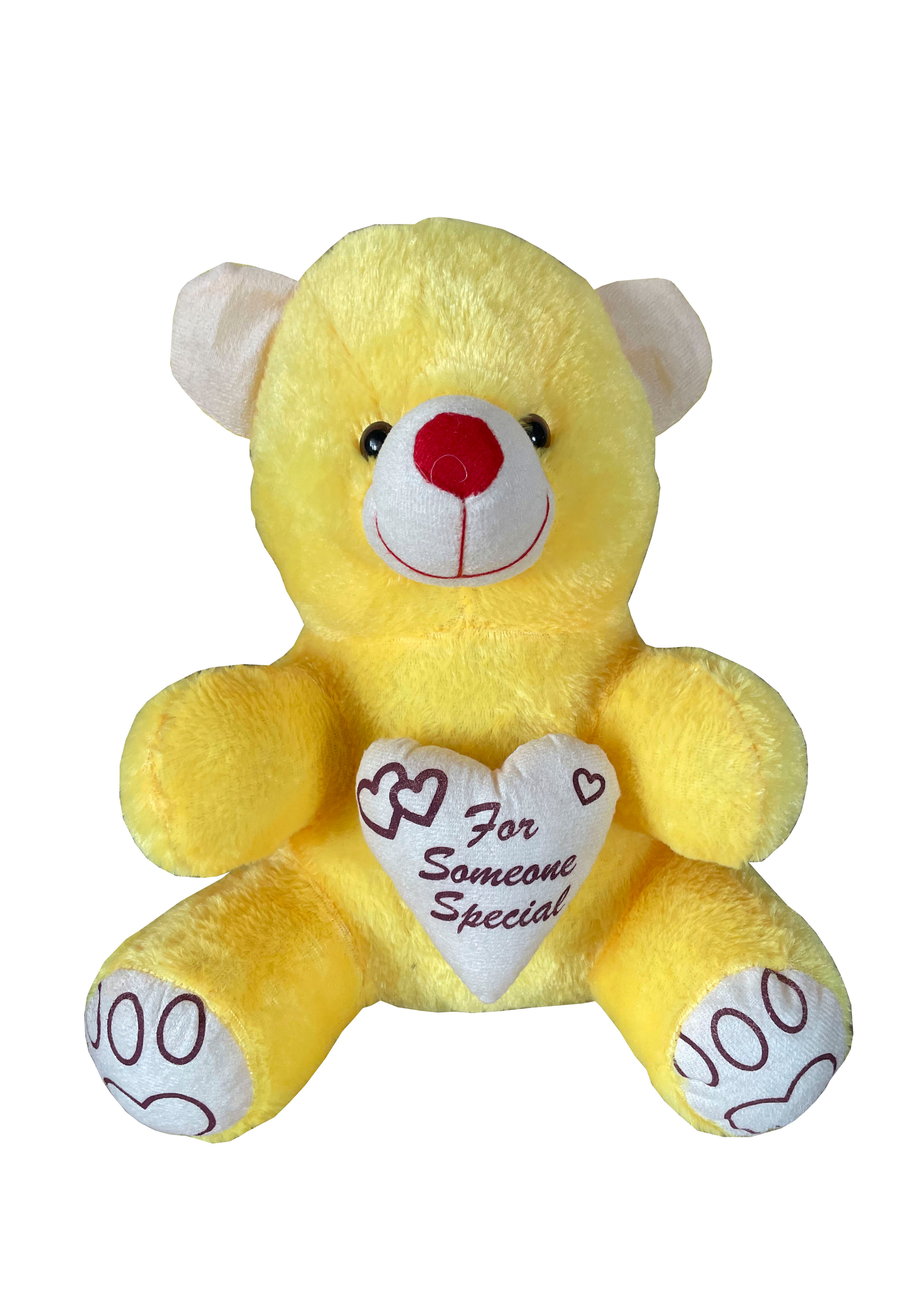 For Someone Special Teddy Bear