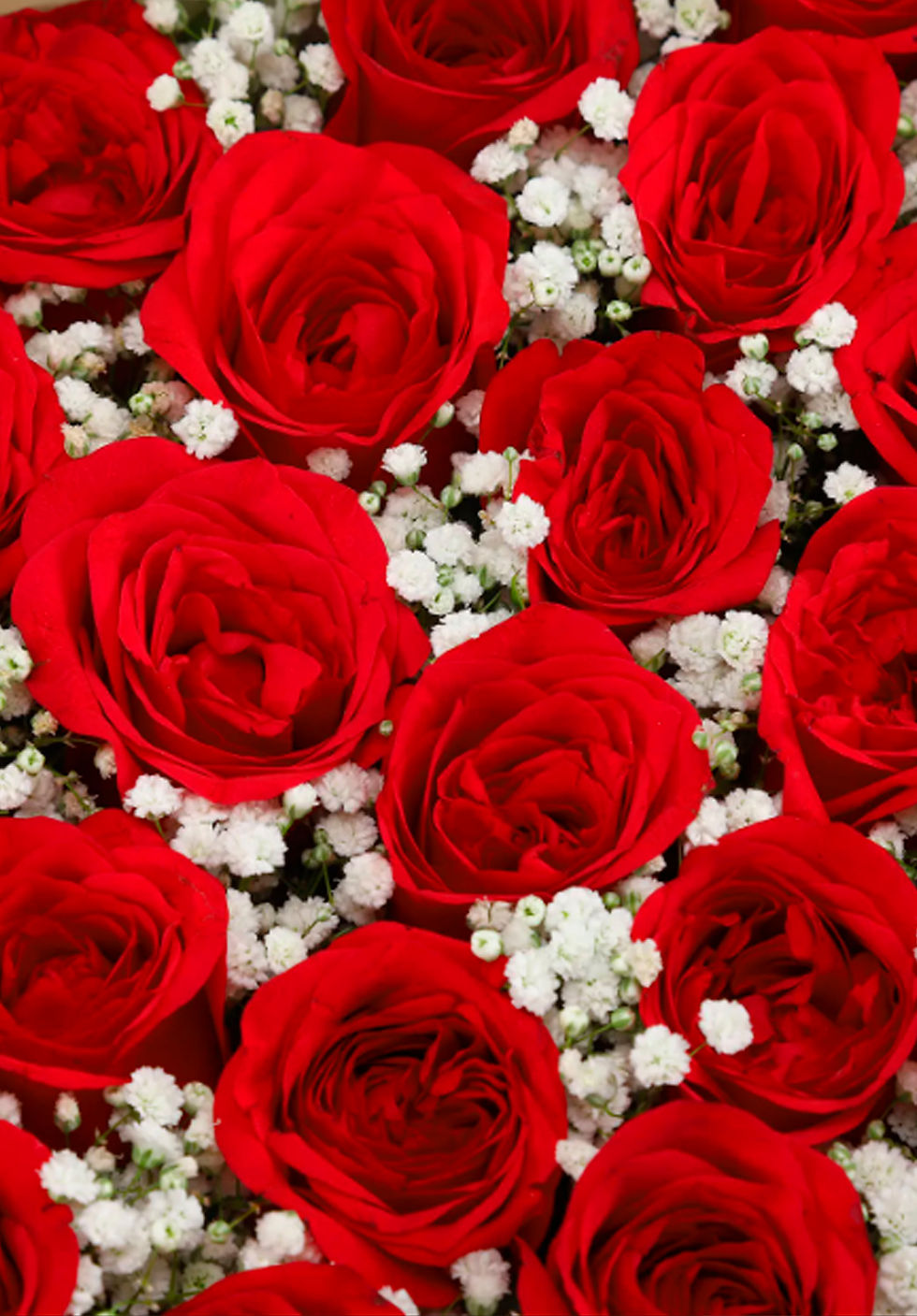 Thumbnail: Graceful Red Roses Square Box