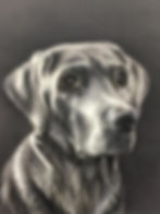 cooper