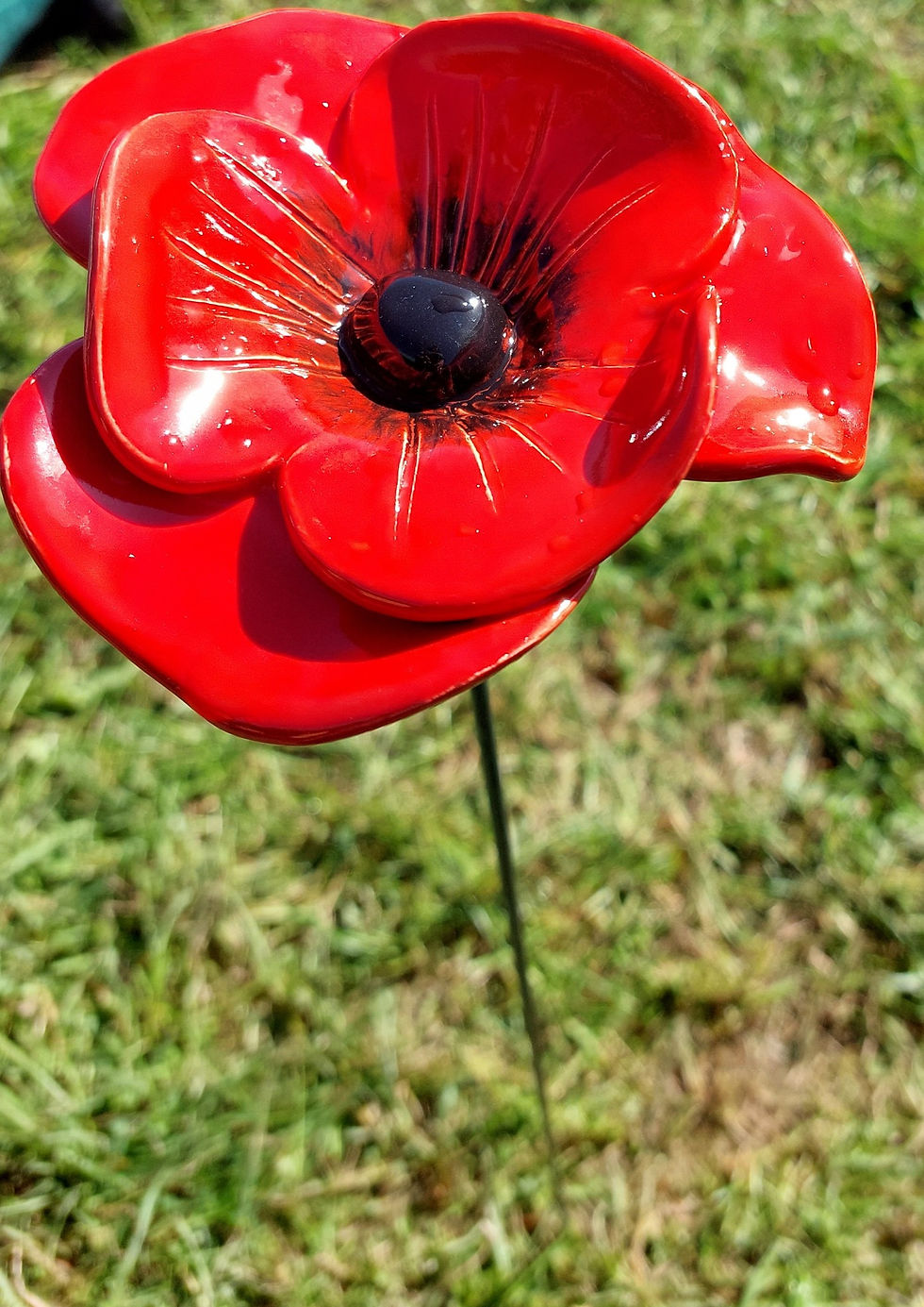 Thumbnail: Red Poppy