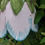 Thumbnail: White/Teal Stripe Bell Flower