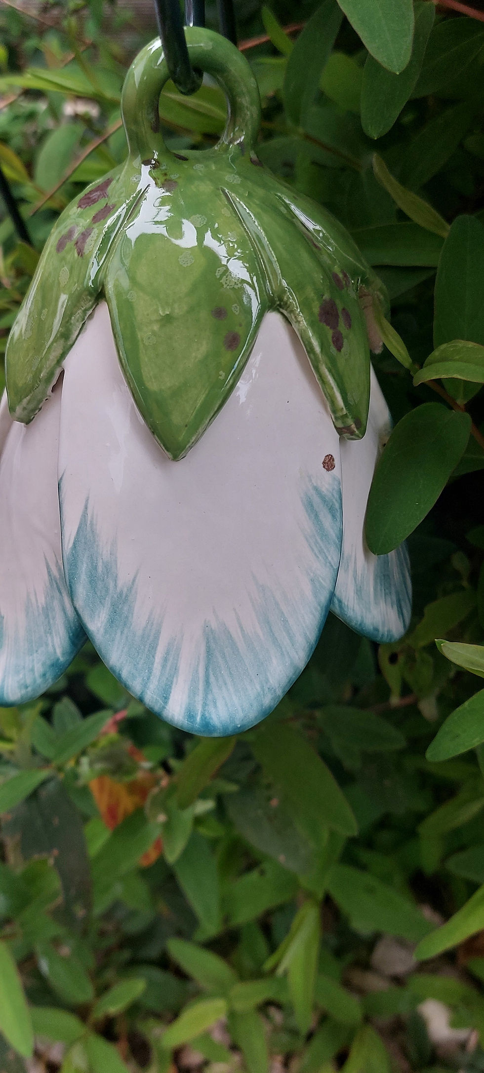 Thumbnail: White/Teal Stripe Bell Flower