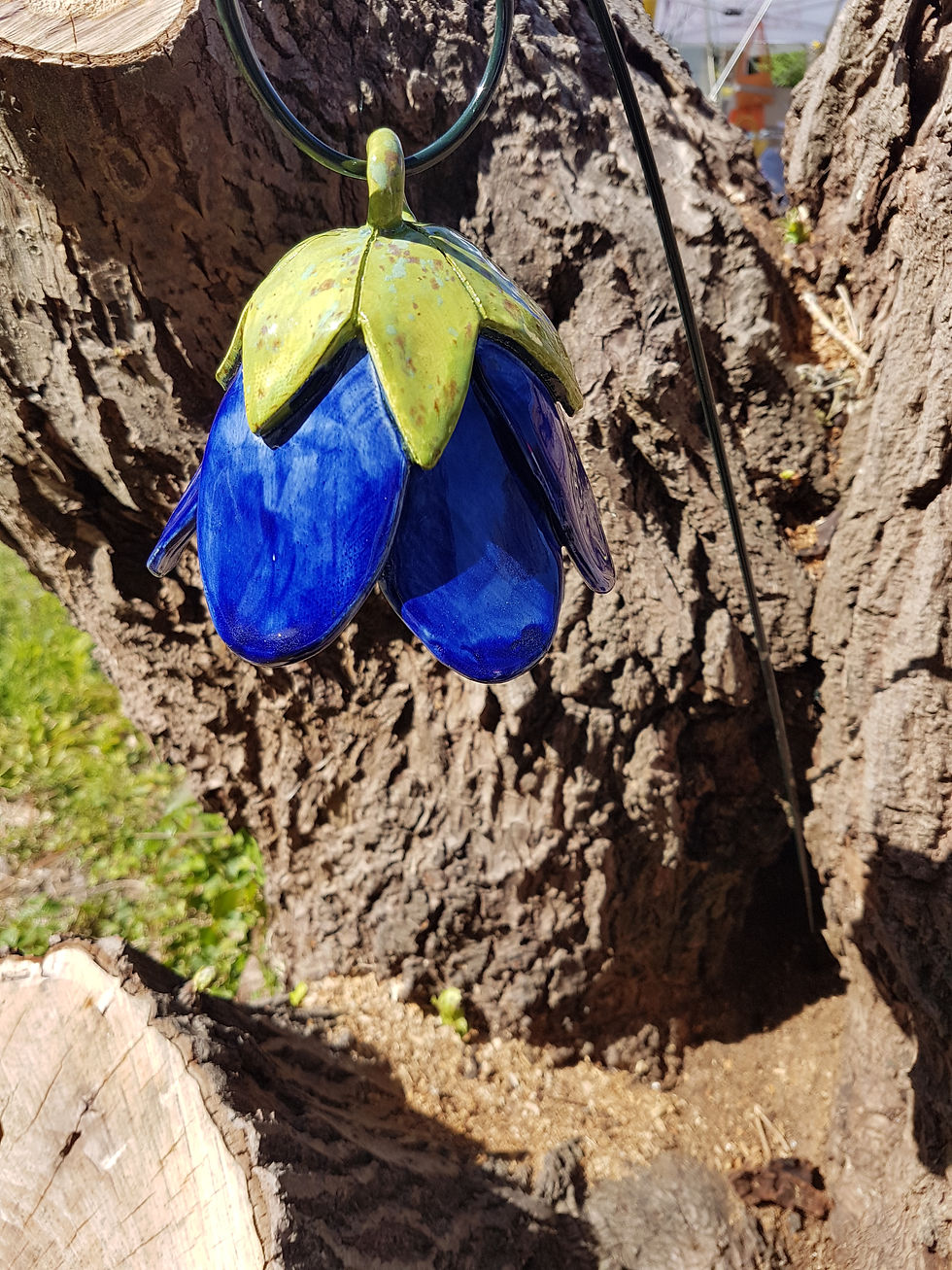 Thumbnail: Dark Blue Bell Flower