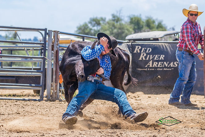 Steer Wrestling Coarsegold.jpg