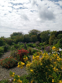 IMG-20260507-WA0012.jpg