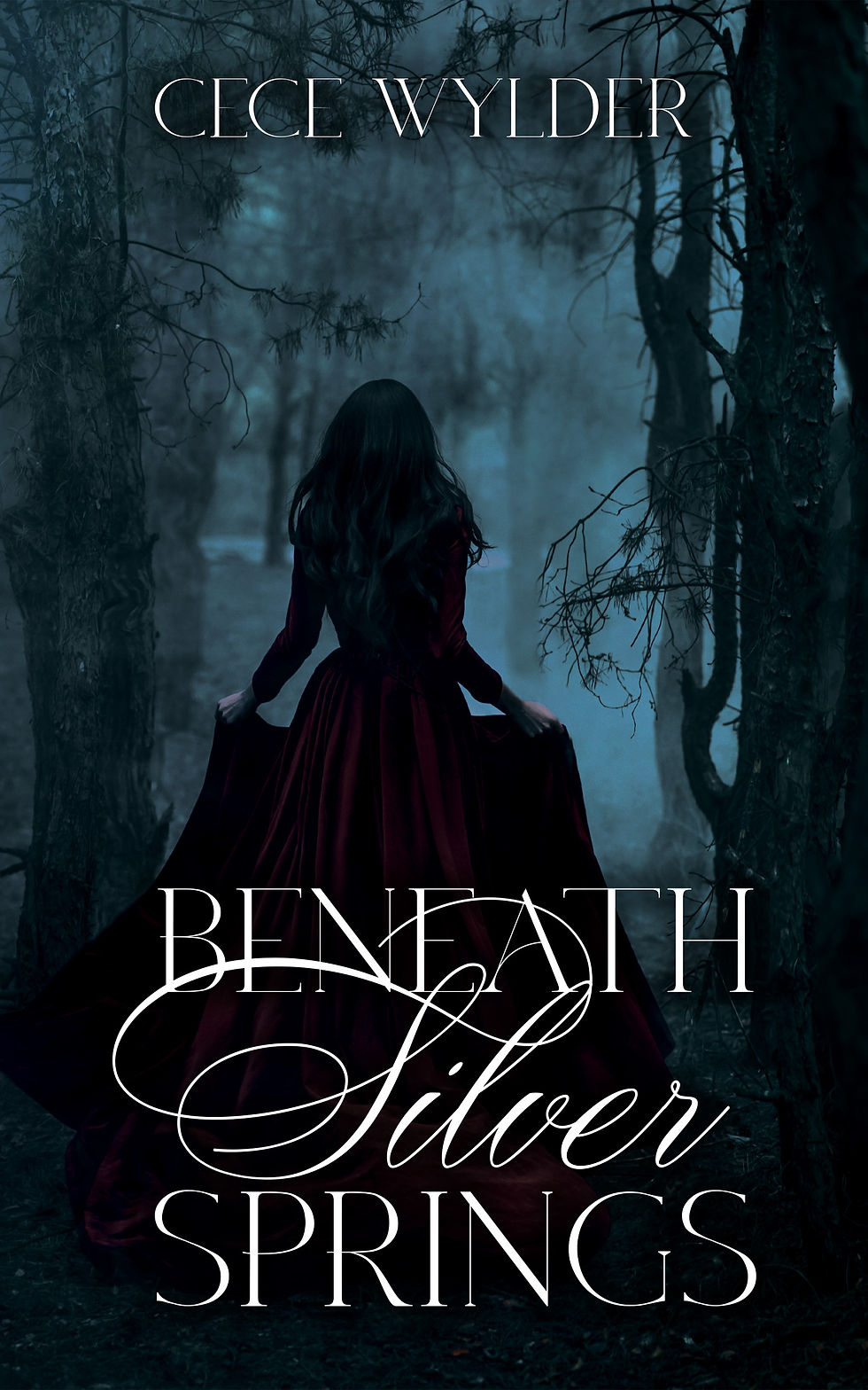 Beneath Silver Springs