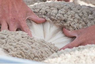 🌿 Le fil coton : une fibre végétale naturelle et polyvalente🌿