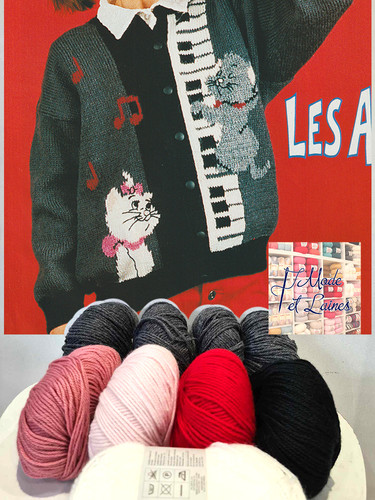 Tricot Pull Aristochat Kit Tricot Gilet Disney Les Aristochats