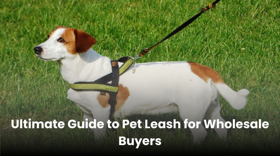 Ultimate Guide to Pet Leash for Wholesale Buyers
