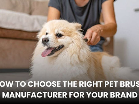 How to Choose the Right Pet Brush Manufacturer for Your Brand