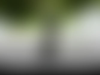 Negotiation Tips for Wholesalers When Ordering E-Cigarettes in Bulk