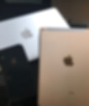 木村趣味写真アップル.jpeg