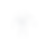 logo transparent.png
