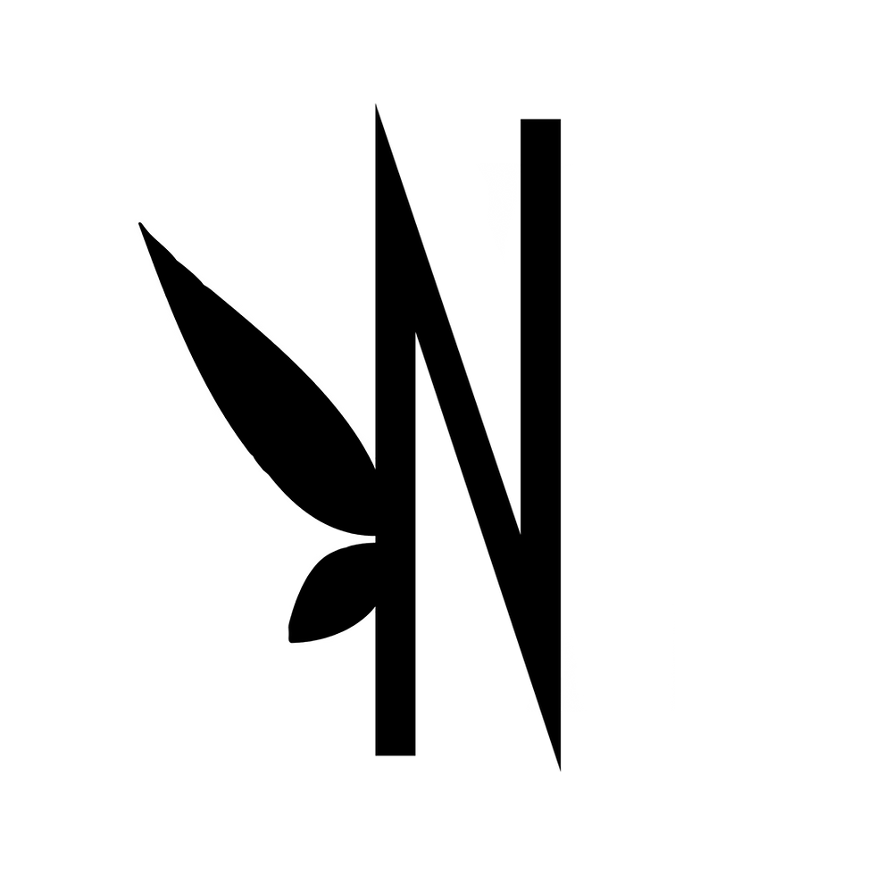 logo N_.png