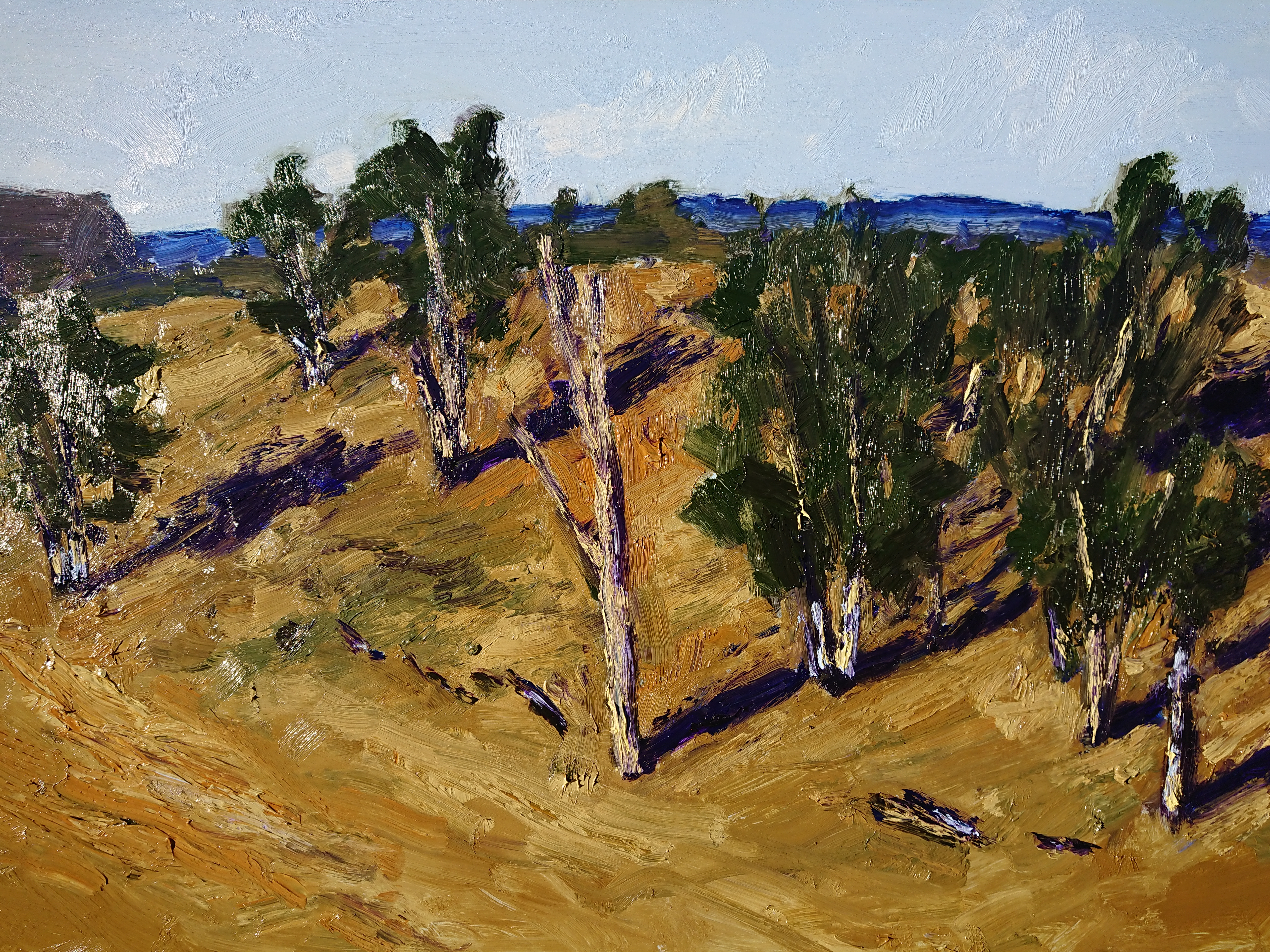 High Plateau, Megalong Valley