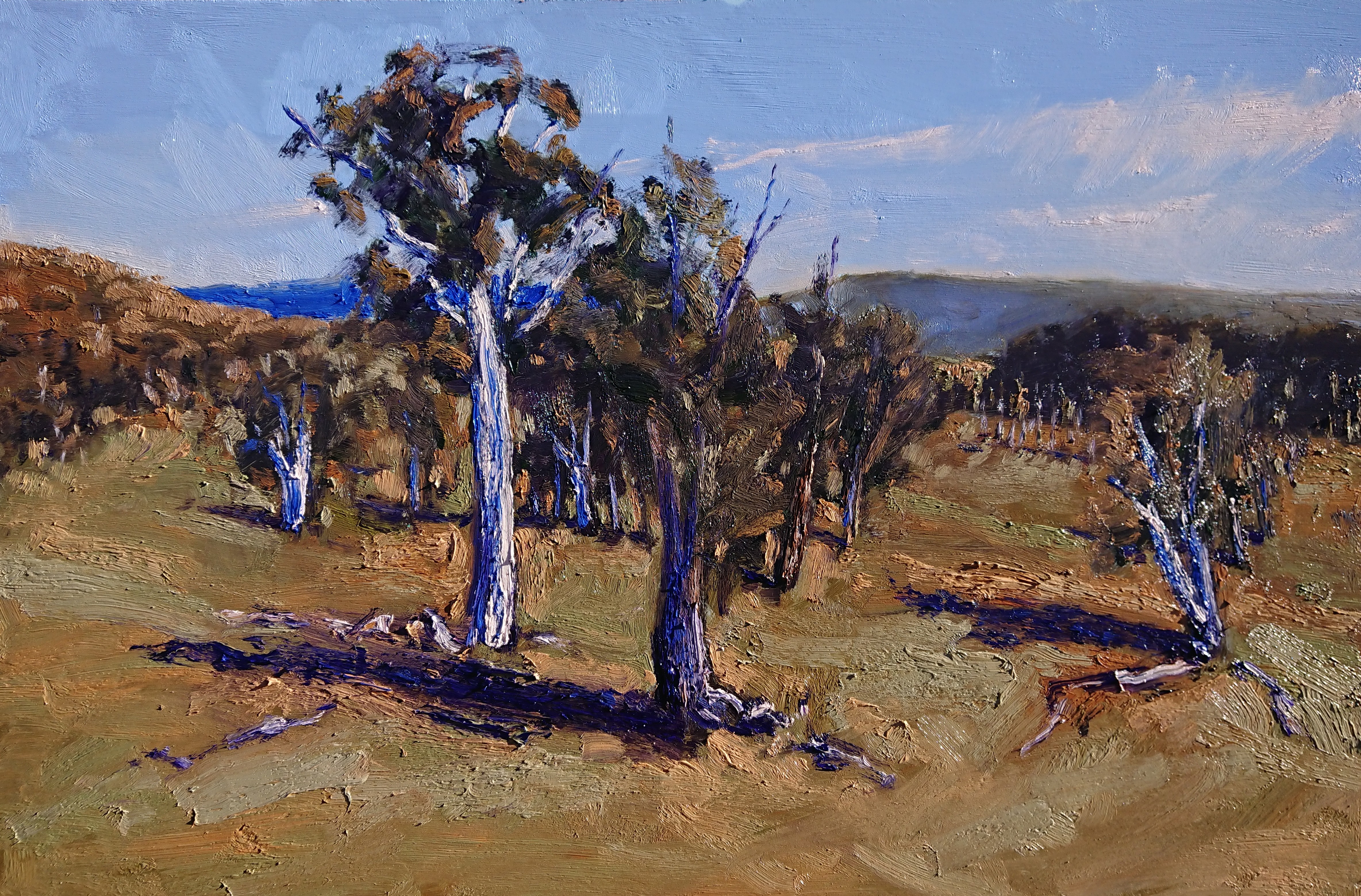 Slight breeze on a crisp winter's day_60 x 90 cm, oil on board