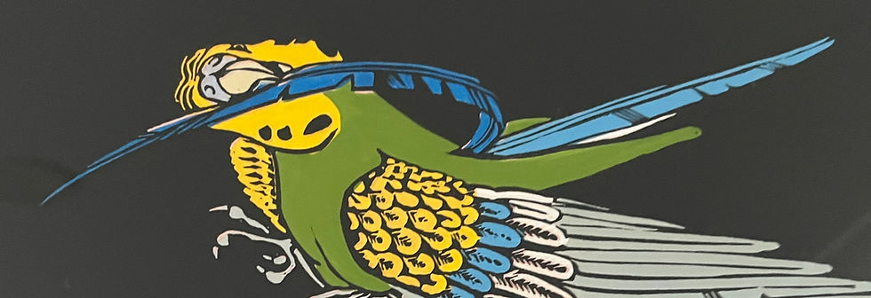 Thumbnail: Detail of the salt and pepper budige showing the bright leaf green back of the birs along with the yellow on the face and wing, the Royal blue tail feather is bent around to the face of the budgie.