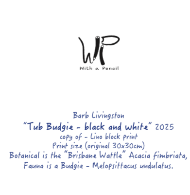 Back of the card of the tub budgie image showing the written details of the image