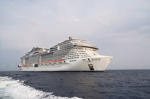 MSC21007715.jpeg