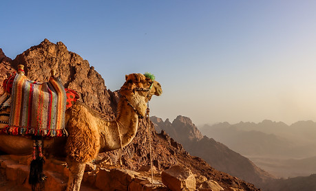 St Catherine, Sinai.jpeg