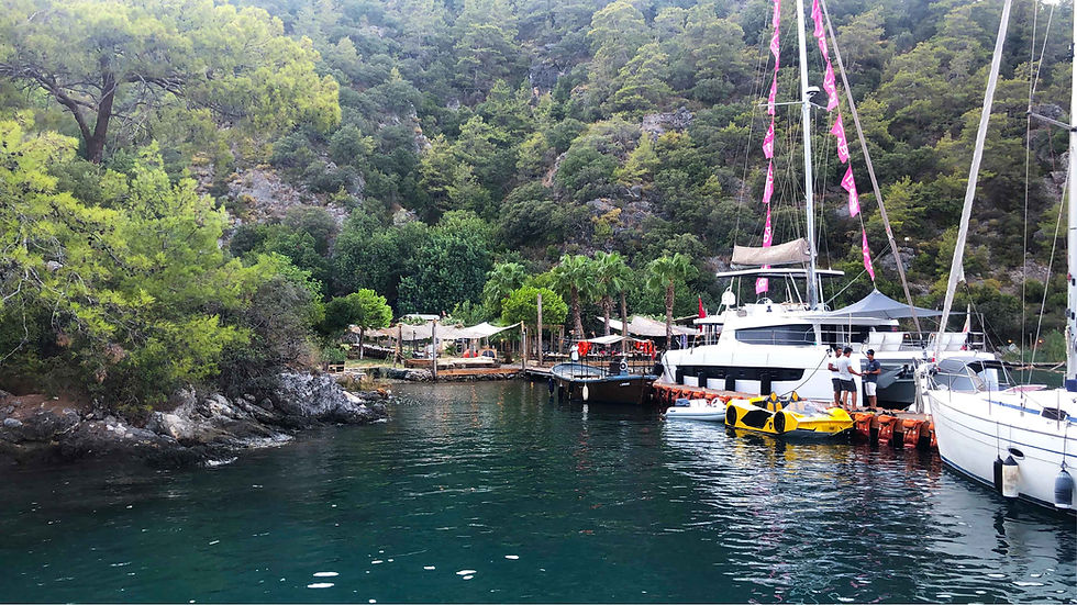 Bedri Rahmi Koyu - Göcek