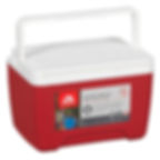 Igloo® Island Breeze® 9Qt. Litres