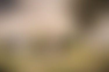 NGC’s Gas Price Move: What It Could Mean for Prices, Exports, and Everyday Life in Trinidad & Tobago