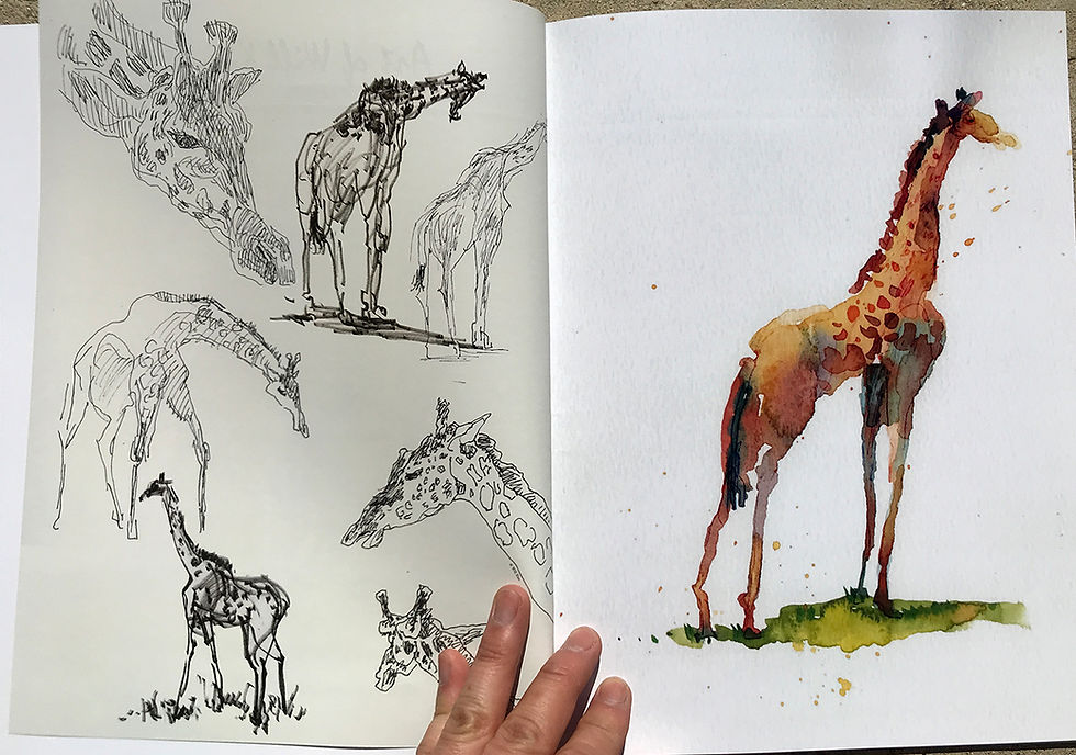 Thumbnail: Art of Will Kim - a collection of animal drawings