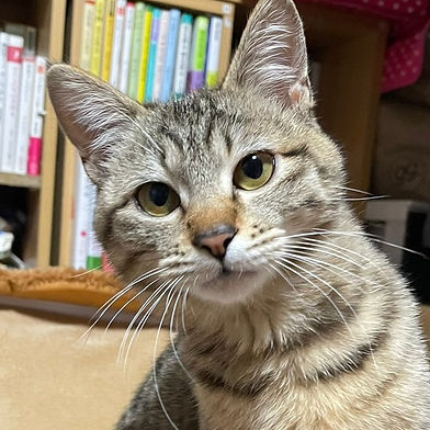 ちび子