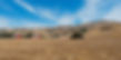 AdobeStock_184759299_edited_edited.jpg