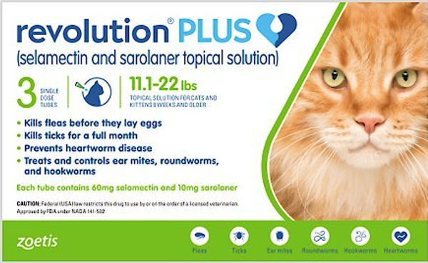 Revolution Plus