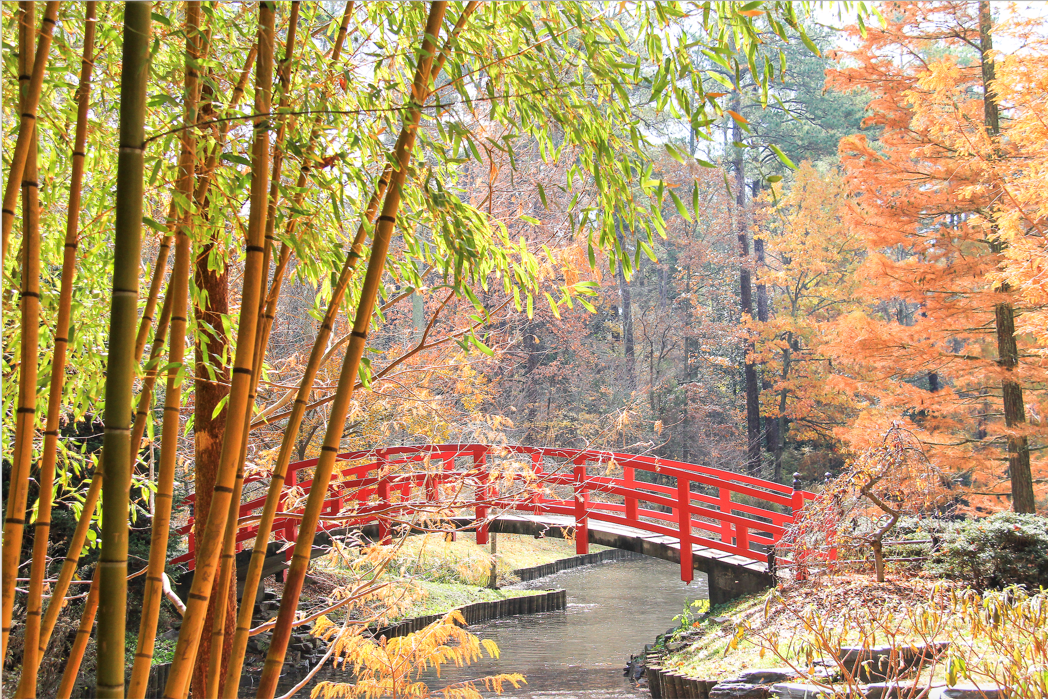 Bridge in Autumn