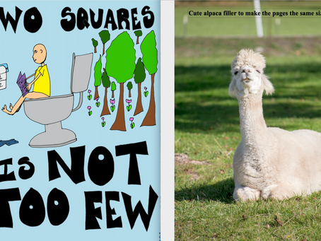 Two Squares is not too few rough draft