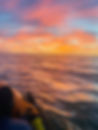 background.jpeg