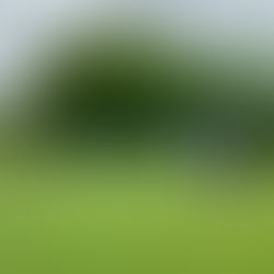 TSV Altenberg Damen - SV Wacker Nbg. Damen (2:1) 4:3