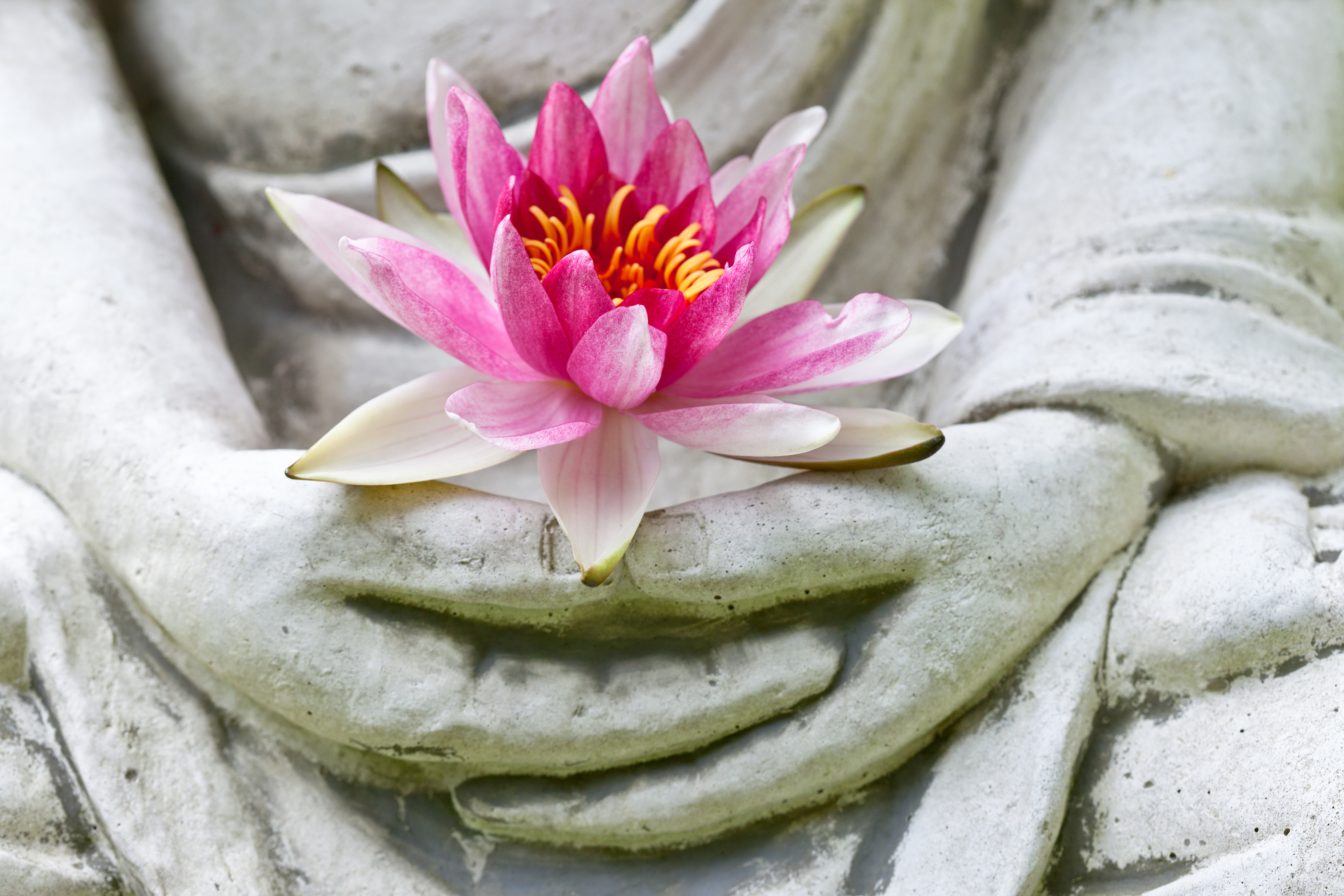 Intro to Mantra & Sound Meditation