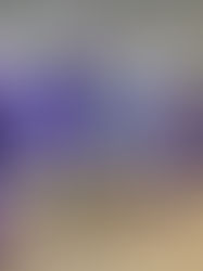 Helium Balloon Delivery in Addison, IL, Elmhurst, IL, Itasca, IL & Schaumburg, IL