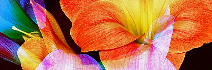 Creative Life bkgrd.jpg