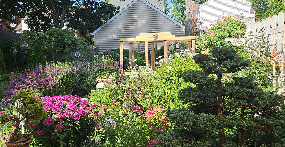 Partial view of the Myrick rear garden 2026