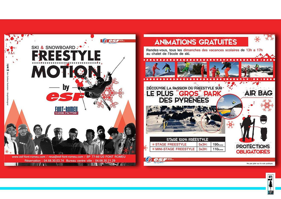 Flyer Freestyle motion