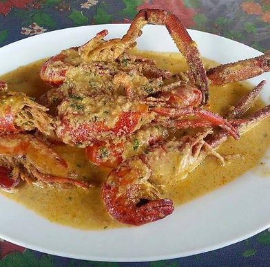 ENCOCAO DE CAMARÃ’N DE RIO