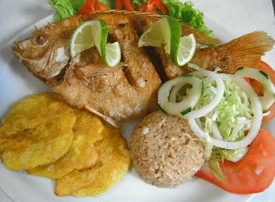 PARGO.jpg