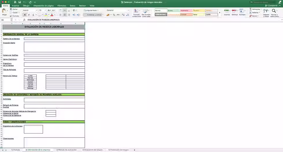 Miniatura: Evaluación de riesgos laborales Calderero - Información sobre la empresa