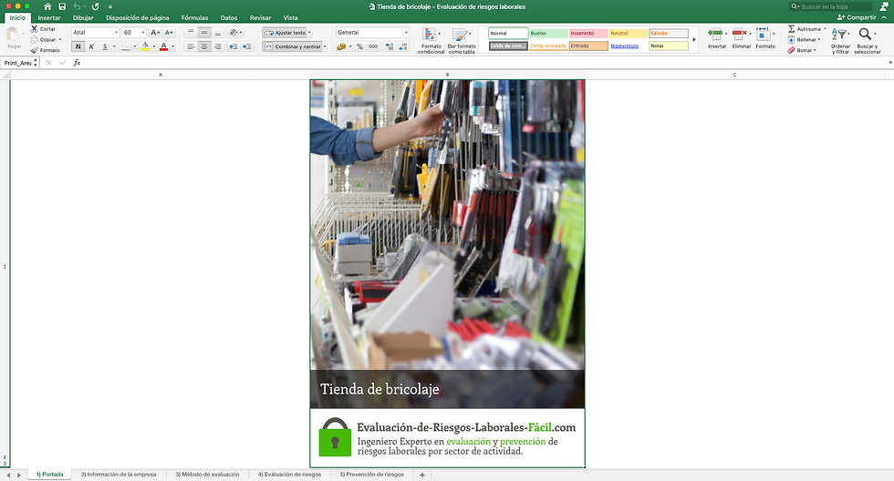 Evaluación de riesgos laborales Tienda de bricolaje - Ilustración