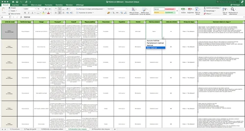 Obligation Légale Employeur Ehpad Document Unique Risques Professionnels Maison Retraite 2025 - Version Pré-remplie Papier + Word Document Unique Maison Retraite 2025 Pré-rempli